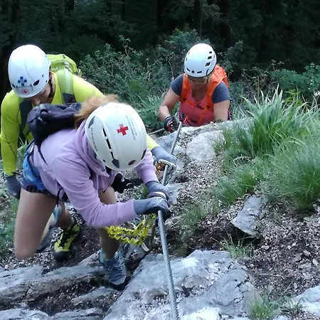 木屋 Single Tiny House Salzkammergut Regau