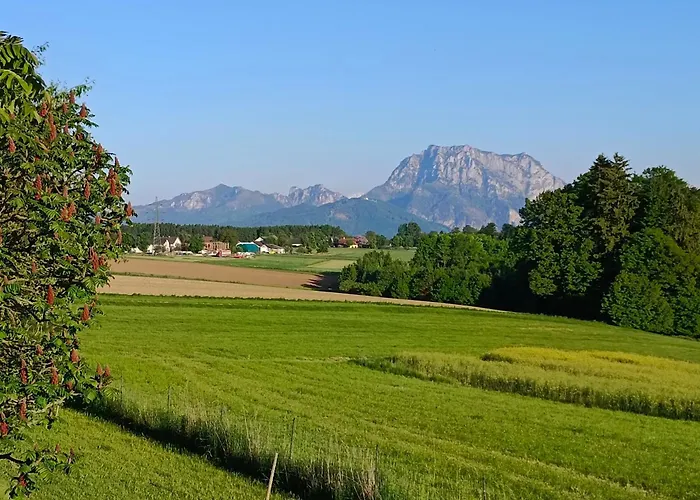 Single Tiny House Salzkammergut * Regau